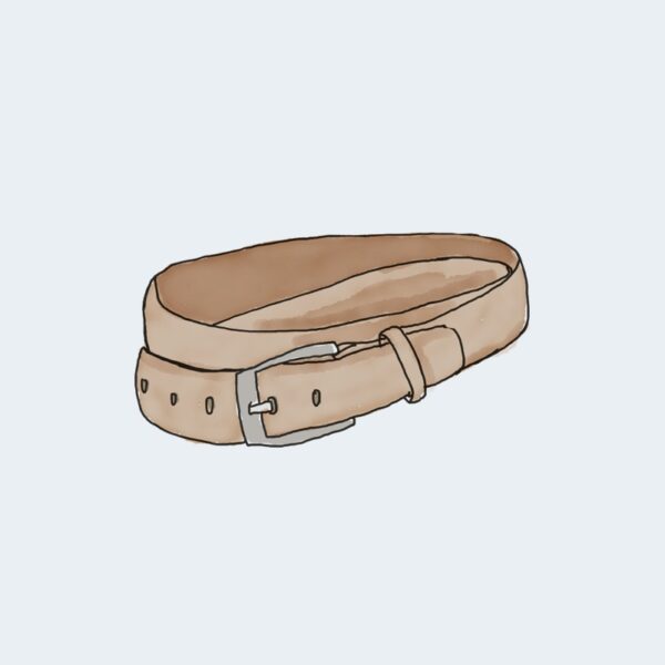WordPress Pennant – Image 6